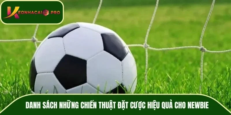 Danh sách những chiến thuật đặt cược hiệu quả cho newbie
