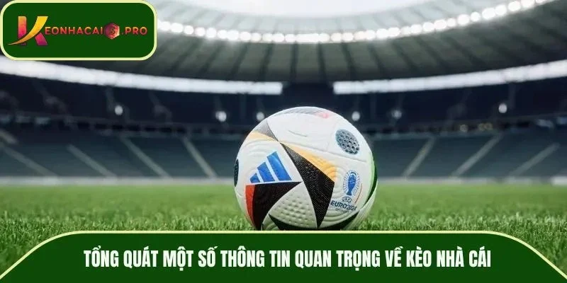 Tổng quát một số thông tin quan trọng về kèo nhà cái