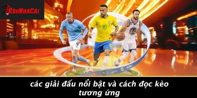 Các Giải Đấu Nổi Bật Và Cách Đọc Kèo Tương Ứng