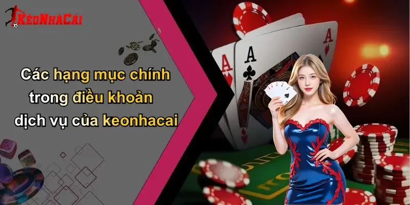 Các hạng mục chính trong điều khoản dịch vụ của keonhacai