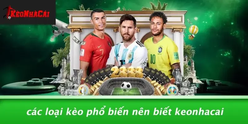 Các Loại Kèo Phổ Biến Nên Biết Keonhacai