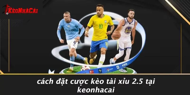 Cách Đặt Cược Kèo Tài Xỉu 2.5 Tại Keonhacai