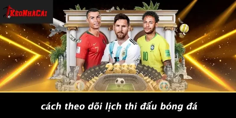 Cách Theo Dõi Lịch Thi Đấu Bóng Đá