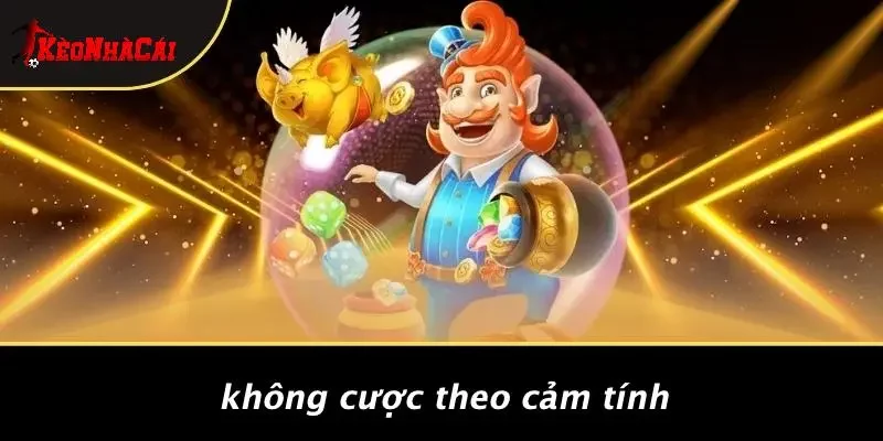 Không Cược Theo Cảm Tính