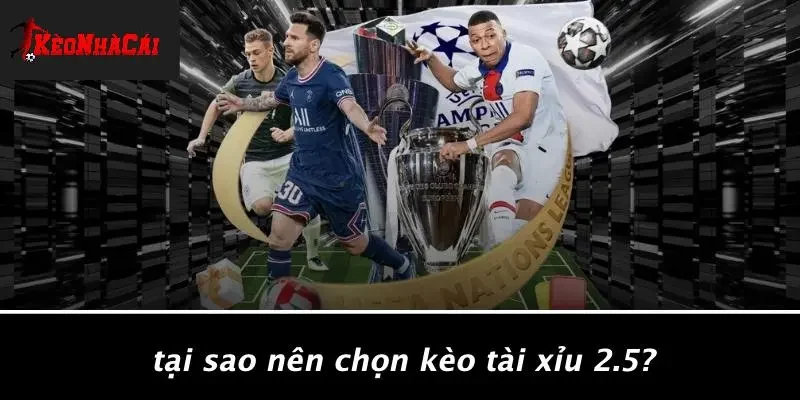Tại Sao Nên Chọn Kèo Tài Xỉu 2.5?